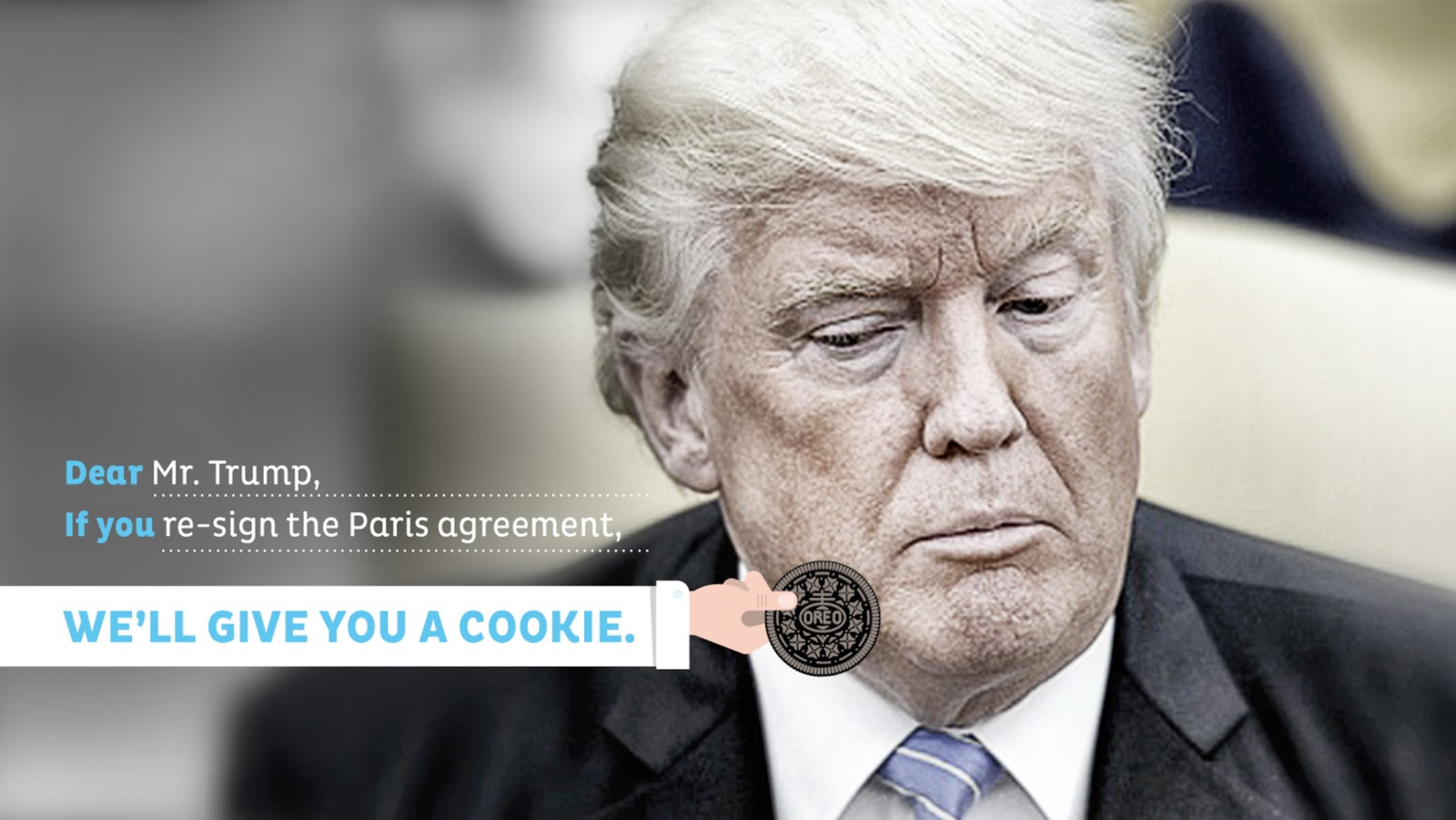 1 Trump Cookie